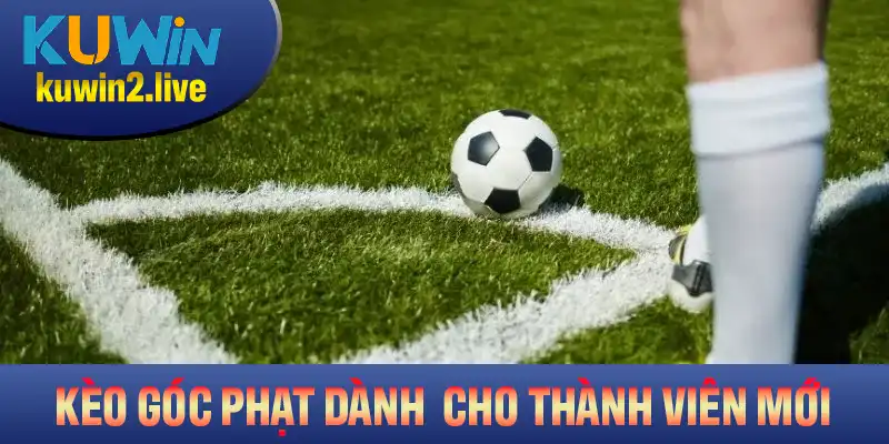 Khám phá khái niệm kèo phạt góc dành cho người mới