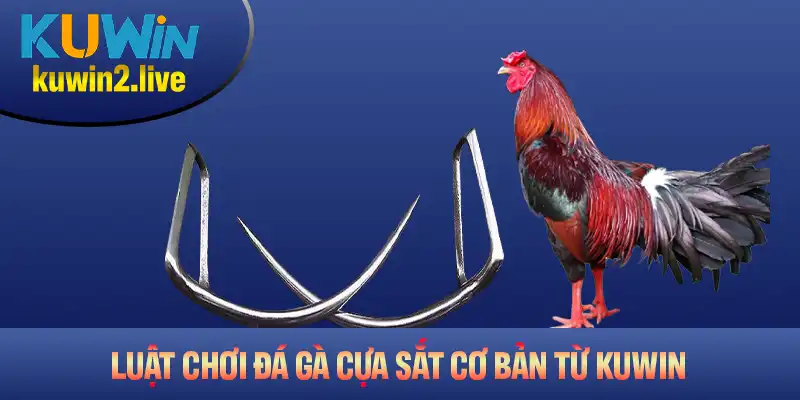 Tổng hợp các luật chơi đá gà cựa sắt cơ bản từ Kuwin